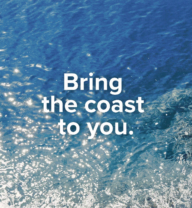 Explore the styles of Citron Shore with Article.